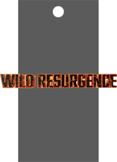 Wild Resurgence Booster Pack  Wild Resurgence Dragonball Super card
